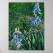 Blue Irises, Garden at Petit Gennevilliers, 1892 Poster (Voorkant)
