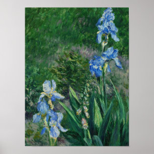 Blue Irises, Garden at Petit Gennevilliers, 1892 Poster
