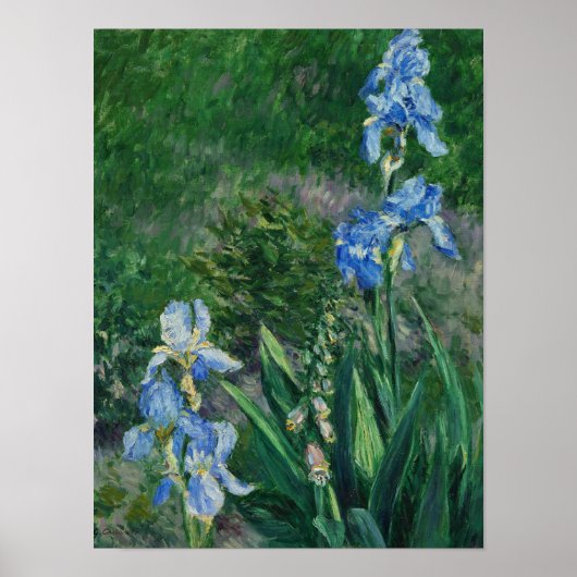 Blue Irises, Garden at Petit Gennevilliers, 1892 Poster (Voorkant)