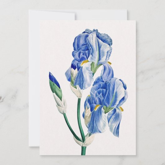 Blue Iriss Dank je Feestdagenkaart (Voorkant)