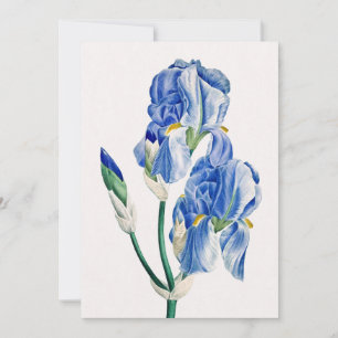 Blue Iriss Dank je Feestdagenkaart