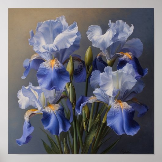 Blue Iriss Flower Art Print Poster (Voorkant)