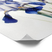 Blue Iriss Flower Art Print Poster (Hoek)