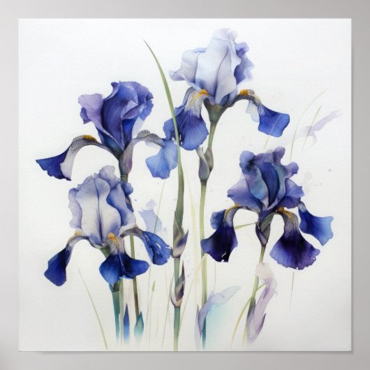 Blue Iriss Flower Art Print Poster (Voorkant)