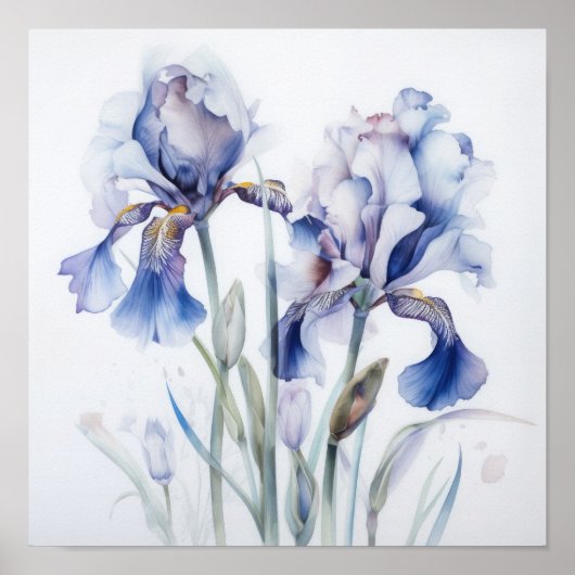 Blue Iriss Flower Art Print Poster (Voorkant)