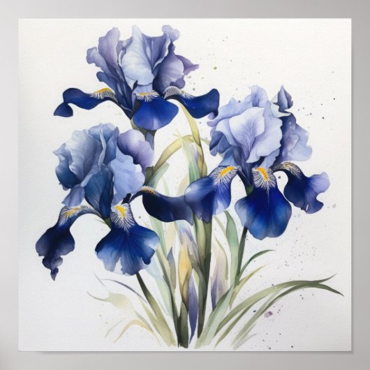Blue Iriss Flower Art Print Poster (Voorkant)