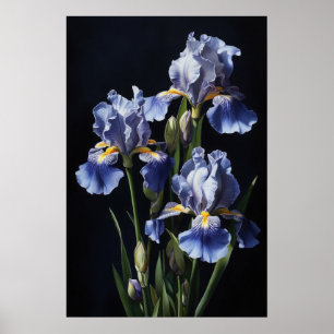 Blue Iriss Flower Art Print Poster