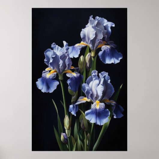 Blue Iriss Flower Art Print Poster (Voorkant)