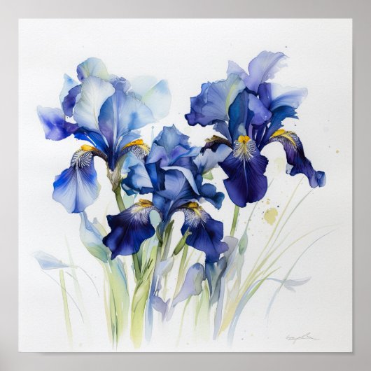 Blue Iriss Flower Art Print Poster (Voorkant)