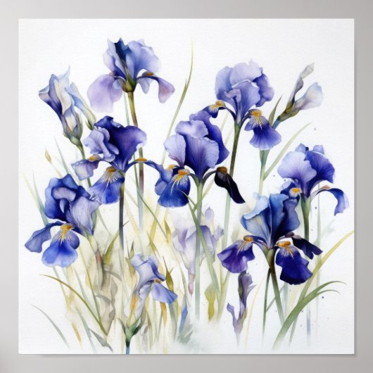 Blue Iriss Flower Art Print Poster (Voorkant)