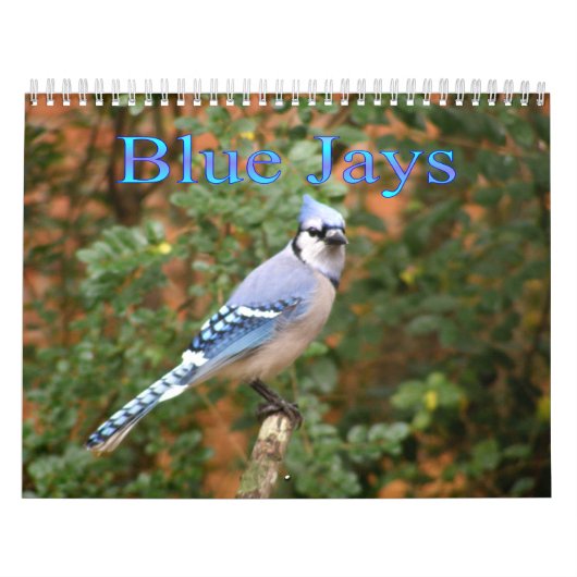 Blue Jay, 12 maanden kalender (Hoes)