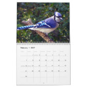 Blue Jay, 12 maanden kalender (Feb 2027)