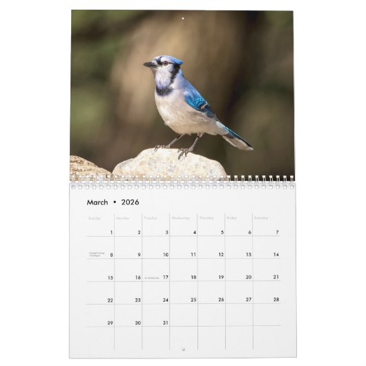 Blue Jay 2026 Kalender (Mar 2026)