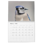 Blue Jay 2026 Kalender (Feb 2026)