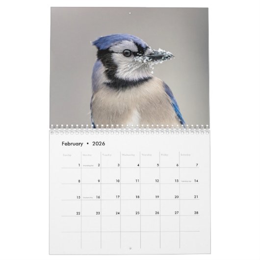 Blue Jay 2026 Kalender (Feb 2026)