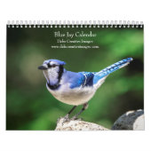 Blue Jay 2026 Kalender (Hoes)