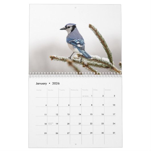 Blue Jay 2026 Kalender (Jan 2026)