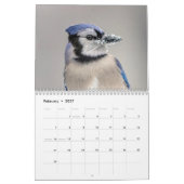 Blue Jay 2026 Kalender (Feb 2027)