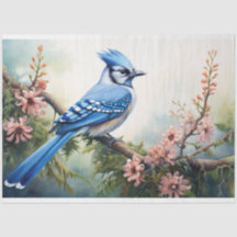 Blue Jay 2 Decoupage papier