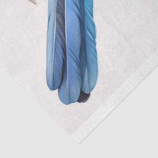 Blue Jay 3 Decoupage papier (Detail)