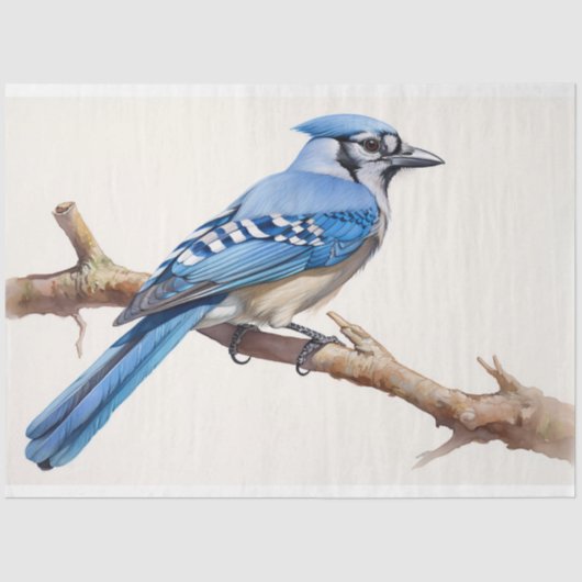 Blue Jay 3 Decoupage papier (Voorkant)