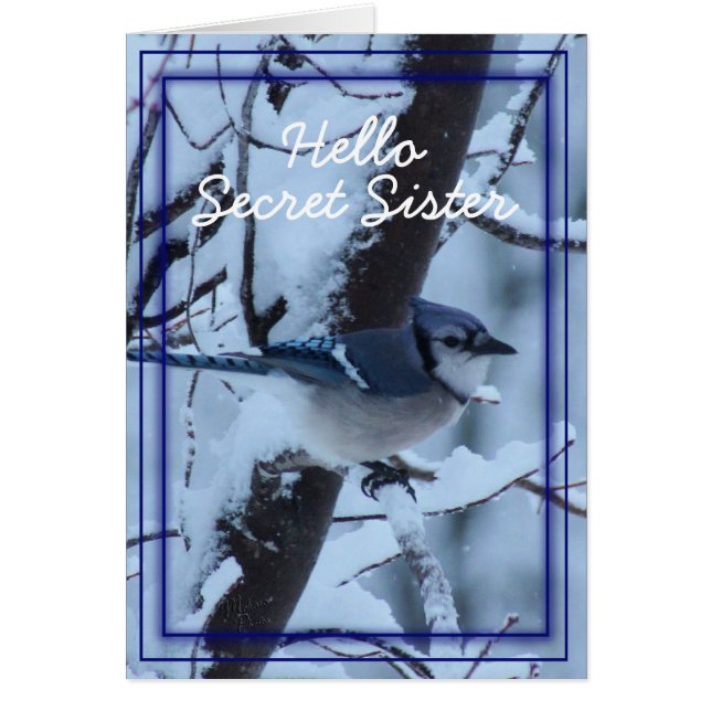 Blue Jay 7133 - elke gelegenheid aanpassen (Voorkant)