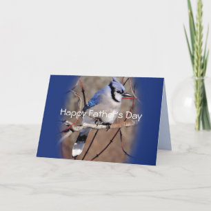 Blue Jay 8878 ovlgct-aanpassen elke gelegenheid Kaart