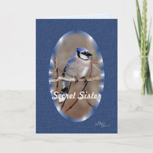 Blue Jay 8883- aanpassen Kaart