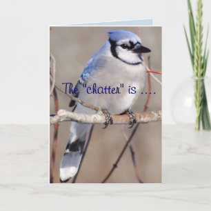 Blue Jay 8883- elke gelegenheid aanpassen Kaart