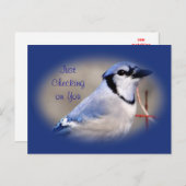 Blue Jay 8979- elke gelegenheid aanpassen Briefkaart (Voorkant / Achterkant)
