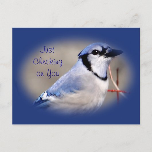 Blue Jay 8979- elke gelegenheid aanpassen Briefkaart (Voorkant)