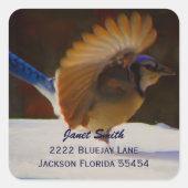 Blue Jay Adres Sticker (Voorkant)