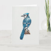 Blue Jay Art Kaart (Voorkant)