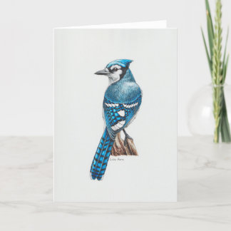 Blue Jay Art Kaart