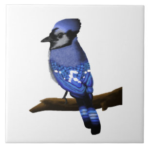 Blue Jay Art Tegeltje
