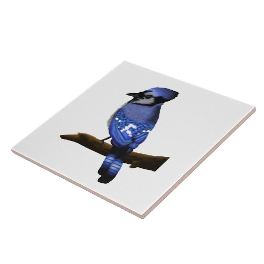 Blue Jay Art   Tegeltje (Zijkant)