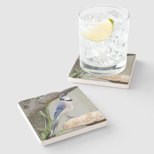 Blue Jay - Backyard Bird Series - Onderzetter (Zijkant)