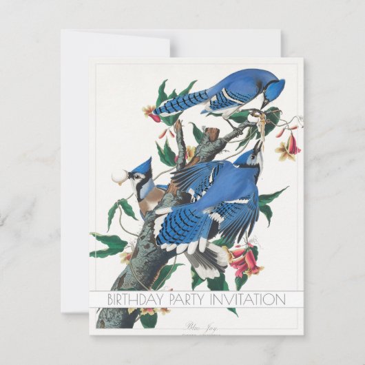 BLUE JAY BIRD BIRTHDAY PARTY INVITATION FLAT KAART (Voorkant)