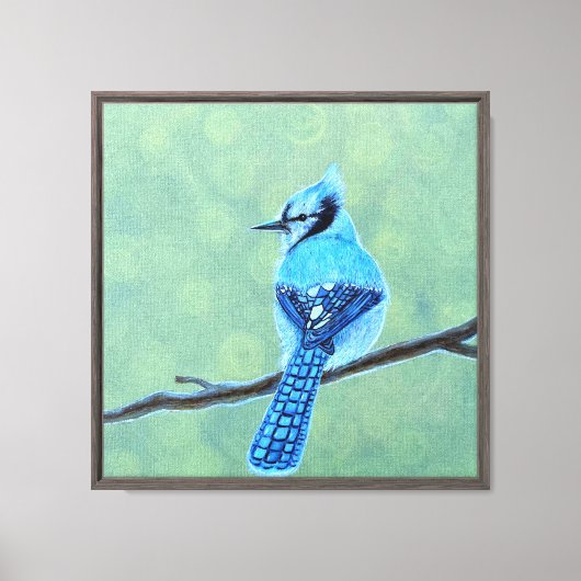 Blue Jay Bird Canvas Afdruk (Voorkant)
