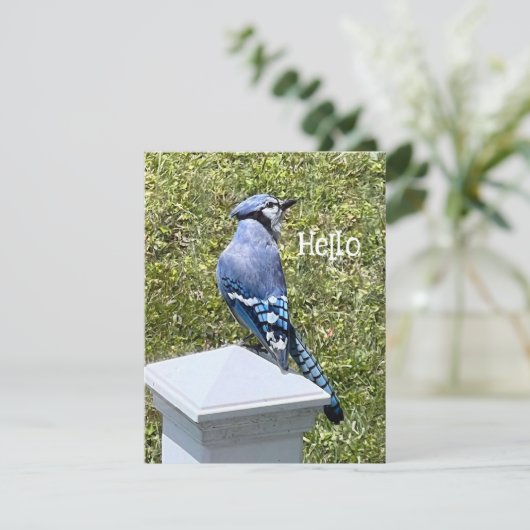  Blue Jay Bird Custom Wenskaarten (Staand voorkant)