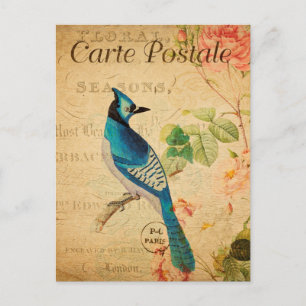 Blue Jay Bird Flowers French Briefkaart