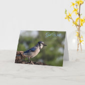  Blue Jay Bird komt goed Kaart (Gele Bloem)