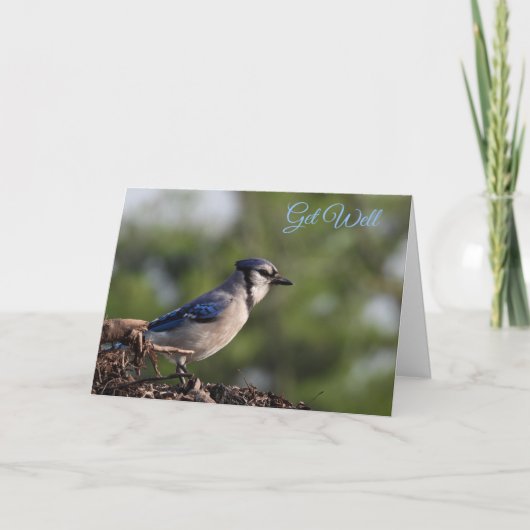  Blue Jay Bird komt goed Kaart (Voorkant)