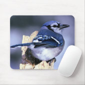 Blue Jay Bird Lovers Muismat (Met muis)