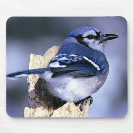 Blue Jay Bird Lovers Muismat