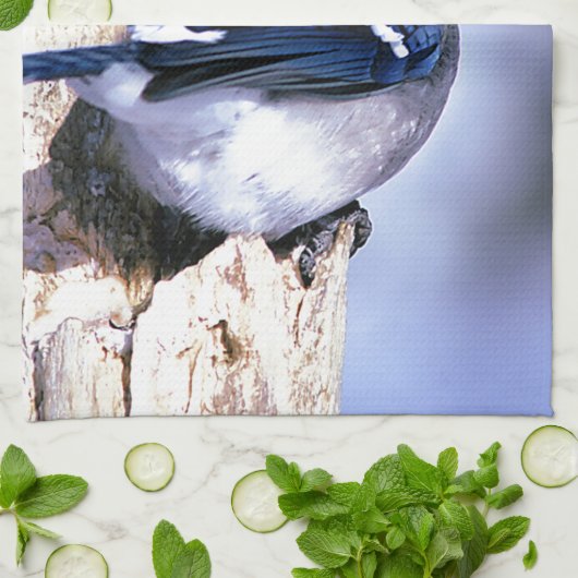 Blue Jay Bird Lovers Theedoek (Gevouwen)