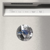 Blue Jay Bird Magneet (Insitu (Vaatwasser))