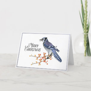 Blue Jay Bird Merry Kerstmis Berry Silver Natuur Feestdagen Kaart