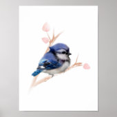 Blue Jay Bird Poster Print (Voorkant)