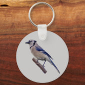 Blue Jay Bird Sleutelhanger (Voorkant)